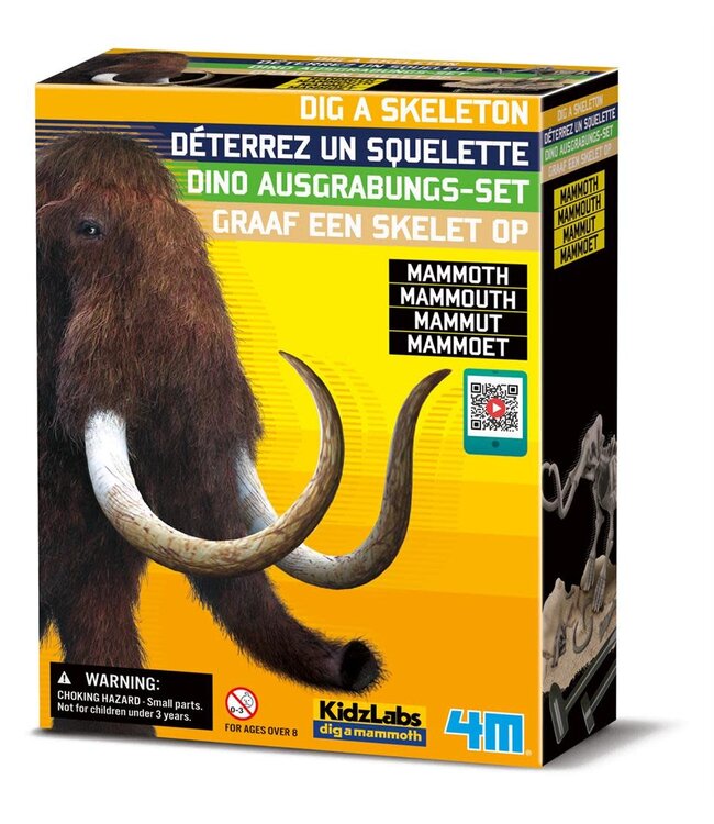 4M KidzLabs | Graaf je Dinosaurus op | Mammoet | 8+