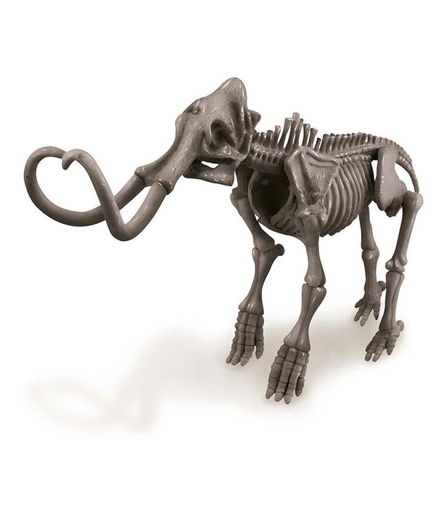 4M KidzLabs | Graaf je Dinosaurus op | Mammoet | 8+