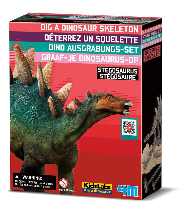 4M | KidzLabs | Graaf je dinosaurus op | Stegosaurus | 8+