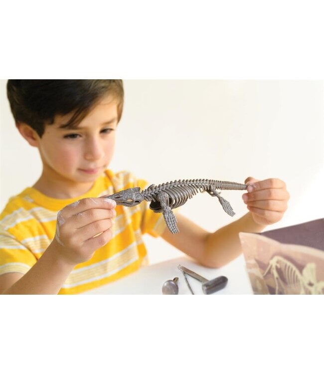 4M | KidzLabs | Graaf je dinosaurus op | Mosasaurus | 8+