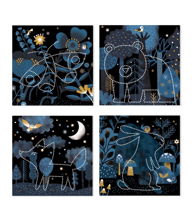 Djeco | Image Reveal | 3 - 6 jaar