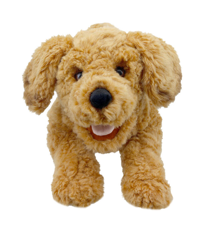 The Puppet Company | Handpop | Playful Puppies | Cockapoo | 44 x 17 x 26 cm