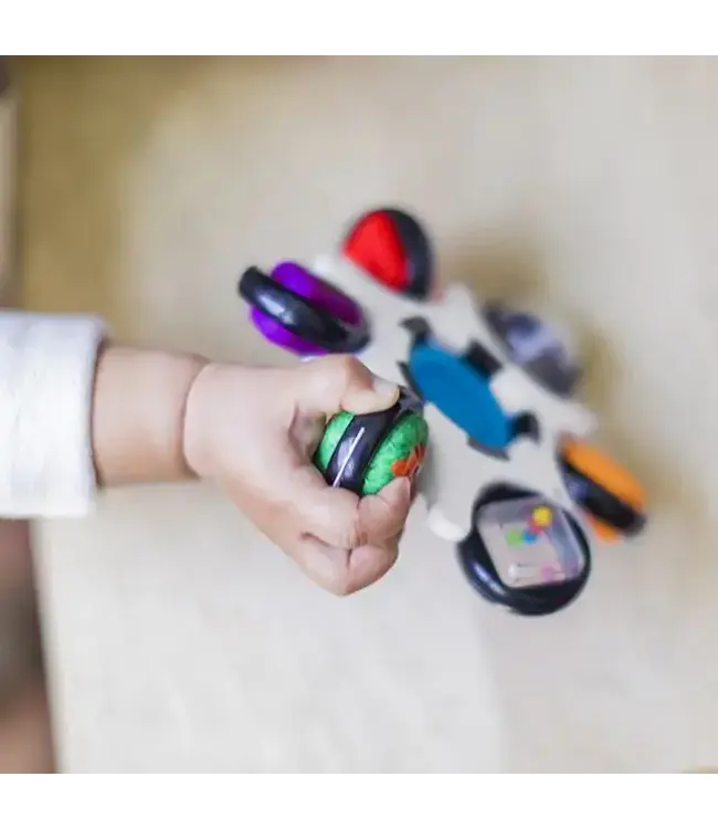 Baby Einstein | Curiosity Clutch Sensory Toy | 15 cm | + 3 maanden