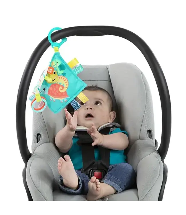 Bright Starts  | Fuzzy Feelies | Soothing Blankie | 22 cm | 0+