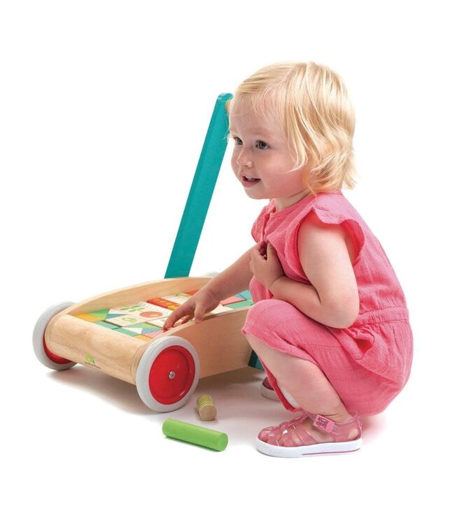 Tender Leaf Toys | Baby Block Babywalker | Duwwagen | inclusief 29 Houten blokken | +18 mnd