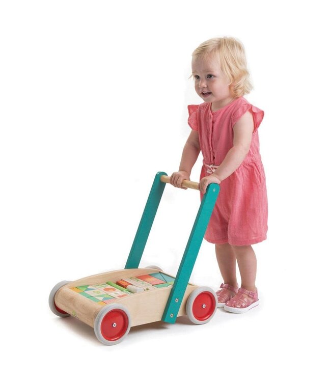 Tender Leaf Toys | Baby Block Babywalker | Duwwagen | inclusief 29 Houten blokken | +18 mnd