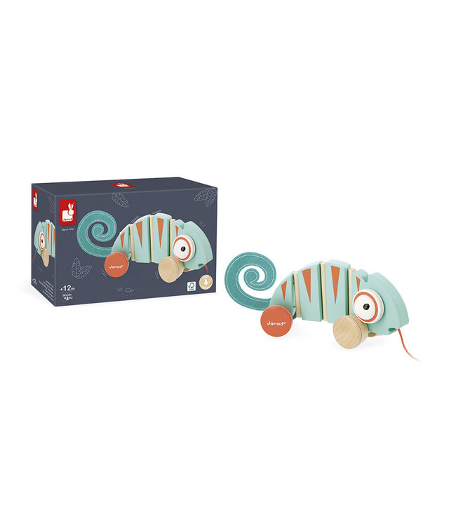 Janod | Houten Trekfiguur | Tropik | Kameleon | 1+