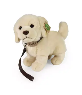 Rappa Plush Toy | Golden Retriever | 25 cm | 0+