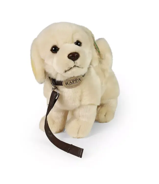 Rappa Plush Toy | Golden Retriever | 25 cm | 0+