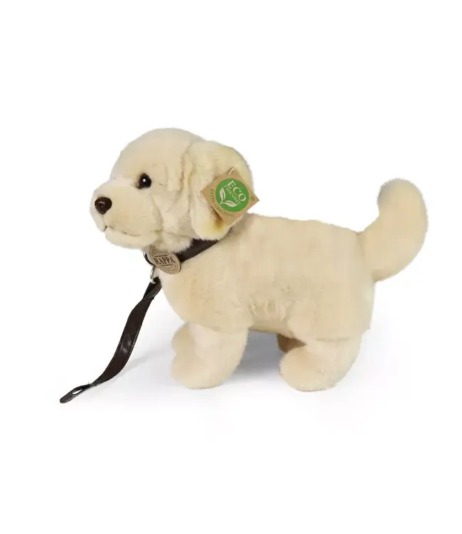Rappa Plush Toy | Golden Retriever | 25 cm | 0+