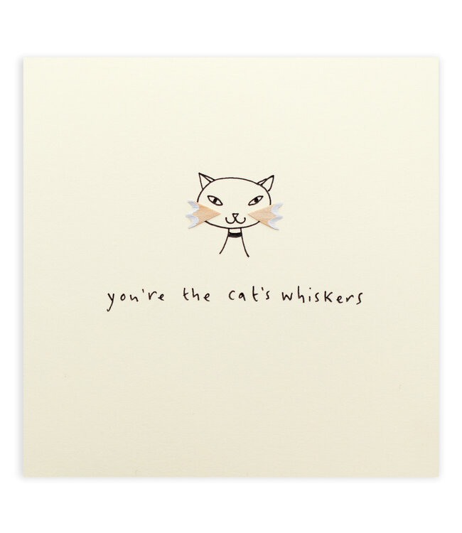 Pencil Shavings Cards by Ruth Jackson | You're the Cat's Whiskers
