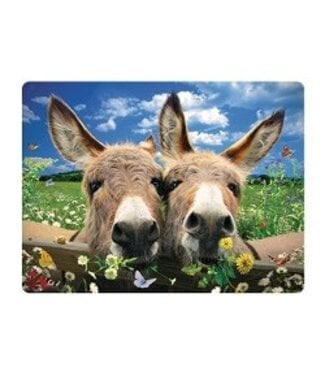 Live-Life Live Life | 3D | Ansichtkaart | 15,4 x 11,3 cm | Donkeys