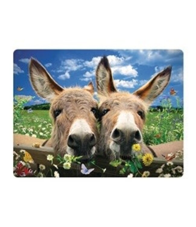 Live Life | 3D | Ansichtkaart | 15,4 x 11,3 cm | Donkeys