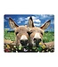 Live-Life Live Life | 3D | Ansichtkaart | 15,4 x 11,3 cm | Donkeys