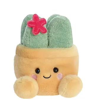 Aurora Aurora | Palm Pals | Seyla Succulent Plant| 13 cm | 0+