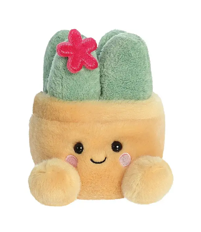 Aurora | Palm Pals | Seyla Succulent Plant| 13 cm | 0+