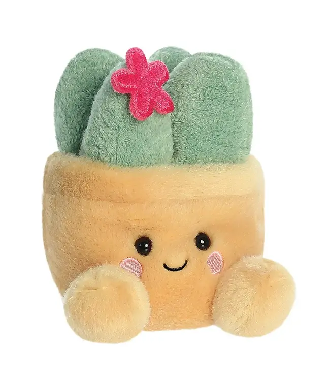 Aurora | Palm Pals | Seyla Succulent Plant| 13 cm | 0+