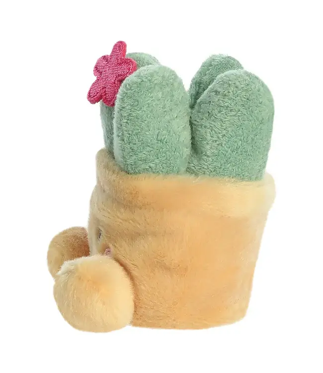 Aurora | Palm Pals | Seyla Succulent Plant| 13 cm | 0+