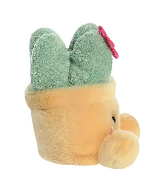 Aurora | Palm Pals | Seyla Succulent Plant| 13 cm | 0+