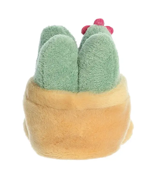 Aurora | Palm Pals | Seyla Succulent Plant| 13 cm | 0+