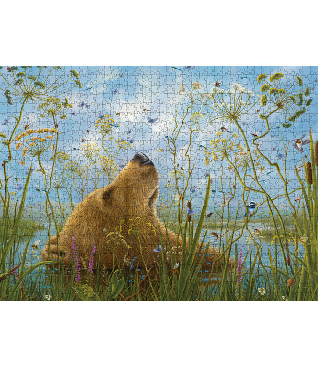 Jigsaw Puzzle by Pomegranate | 68,6 x 50,8 cm | Robert Bissell | the Whole World | 1000 stukjes