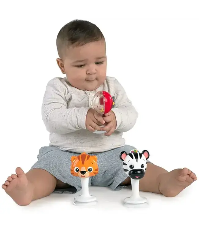 Hape | Baby Einstein | Rattle & Jingle Trio Rattle Set | +3 maanden