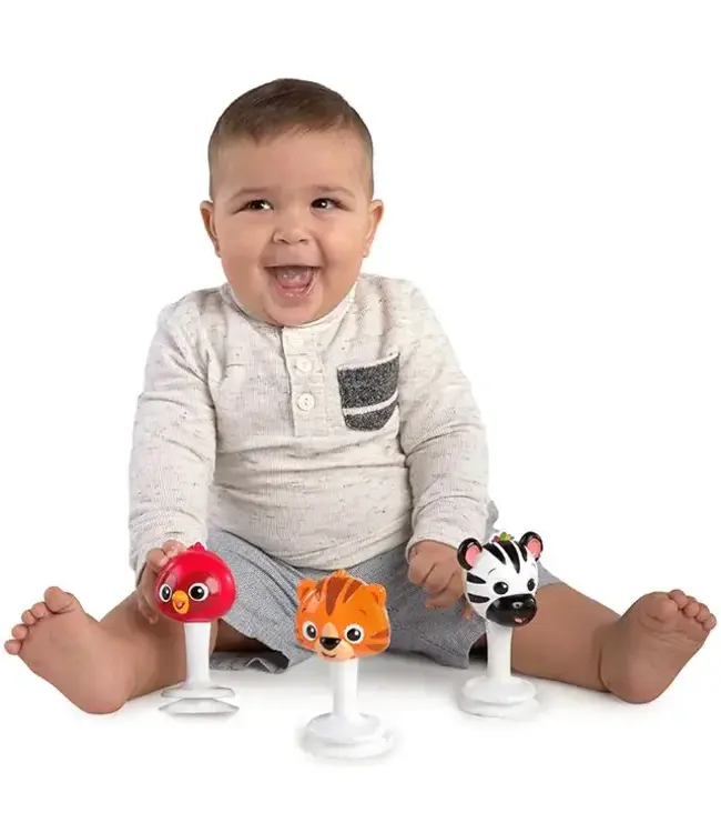 Hape | Baby Einstein | Rattle & Jingle Trio Rattle Set | +3 maanden