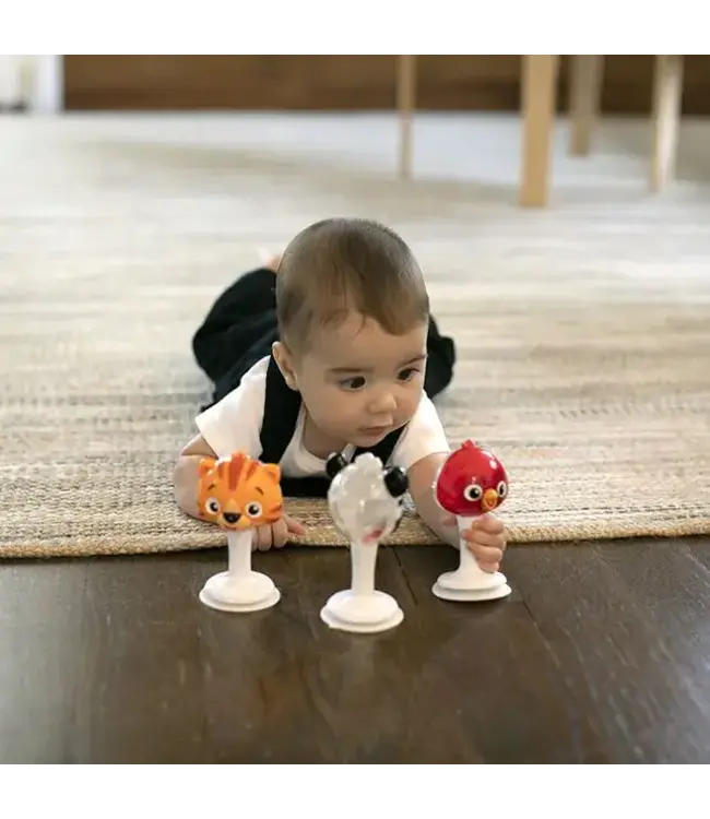 Hape | Baby Einstein | Rattle & Jingle Trio Rattle Set | +3 maanden