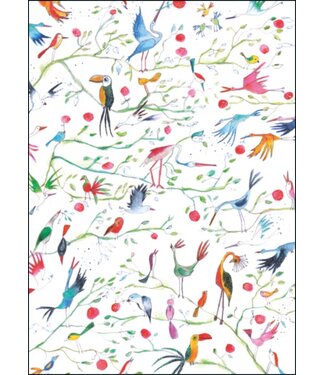 Bekking & Blitz Bekking & Blitz | Miriam Bouwens | Birds of Paradise