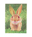 Lenticulaire Kaart Bewegend | Hangoor Konijn