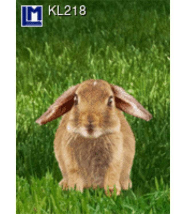 Lenticulaire Kaart Bewegend | Hangoor Konijn