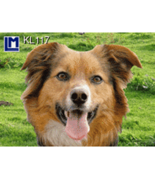 Lenticulaire Kaart Bewegend | Hond - Poes