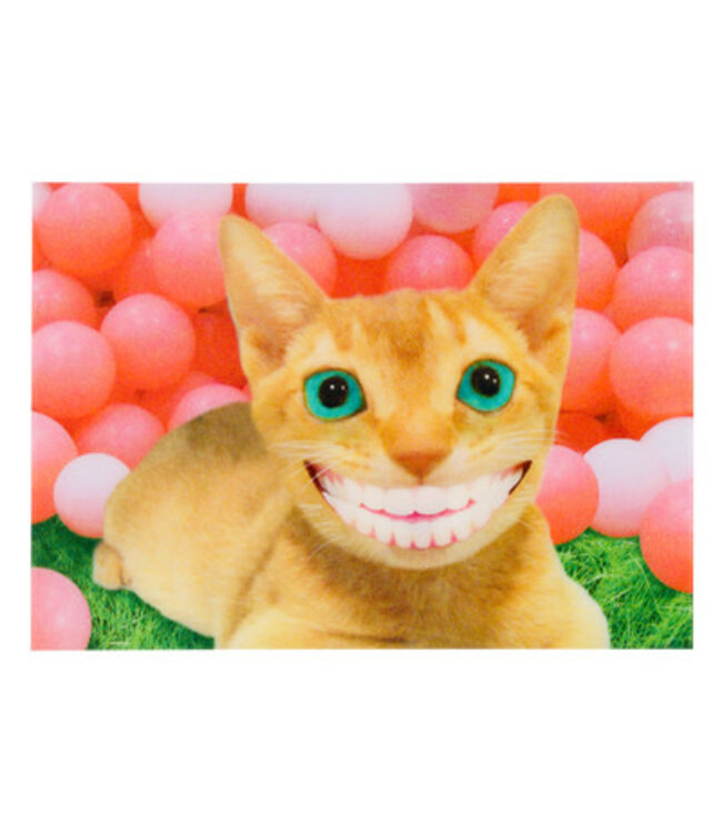 Lenticulaire Kaart Bewegend | Lachende Poes