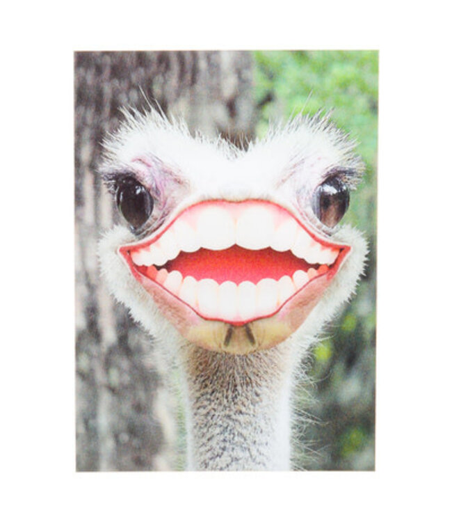 Lenticulaire Kaart Bewegend | Lachende Struisvogel