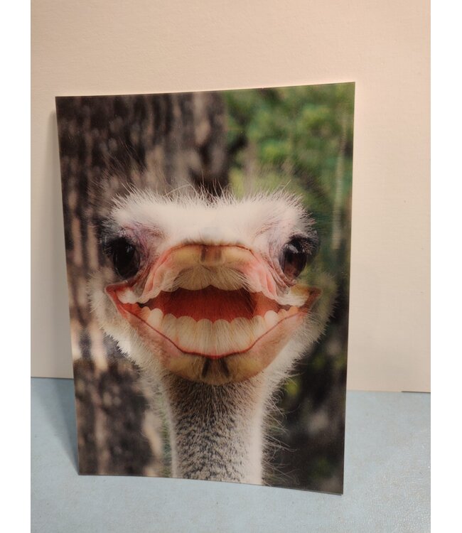 Lenticulaire Kaart Bewegend | Lachende Struisvogel