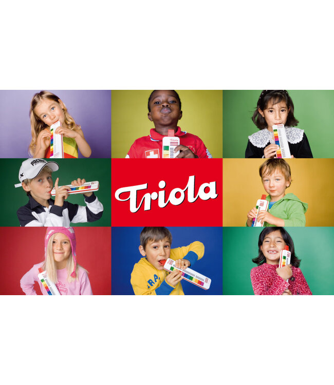 Seydel Sohne |  Triola Blaaspiano | 12 Toetsen | incl. boekje met 4 liedjes | 3-12 jaar