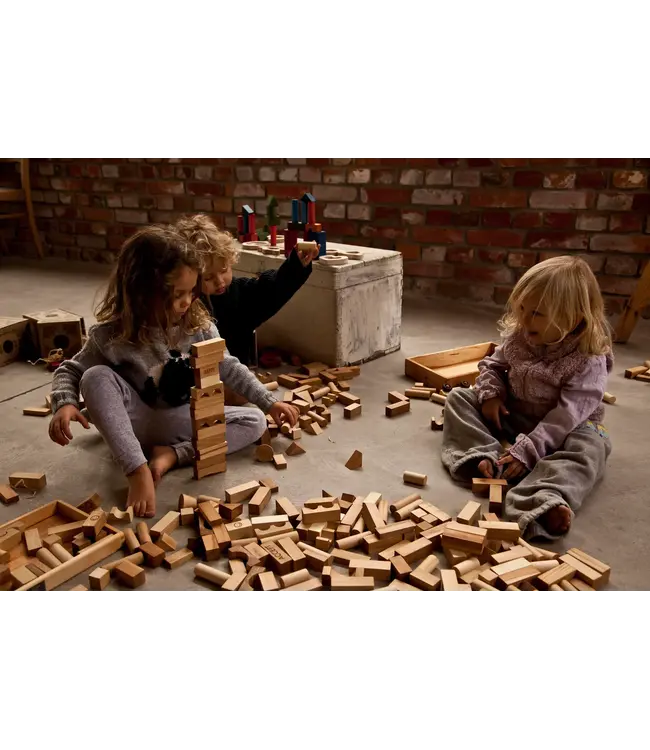 Wooden Story | Natuurlijke Houten Blokken | in houten tray | 54 stuks | 1+