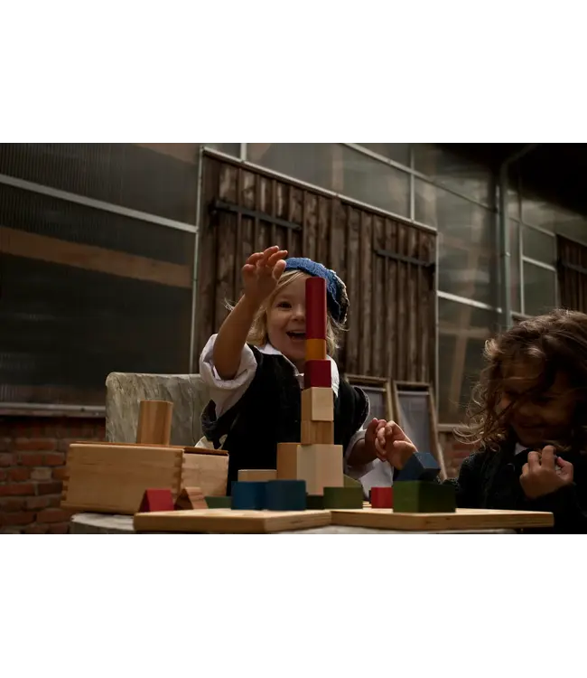 Wooden Story | Grote Gekleurde Houten Blokken | in houten tray | 54 stuks | 1+