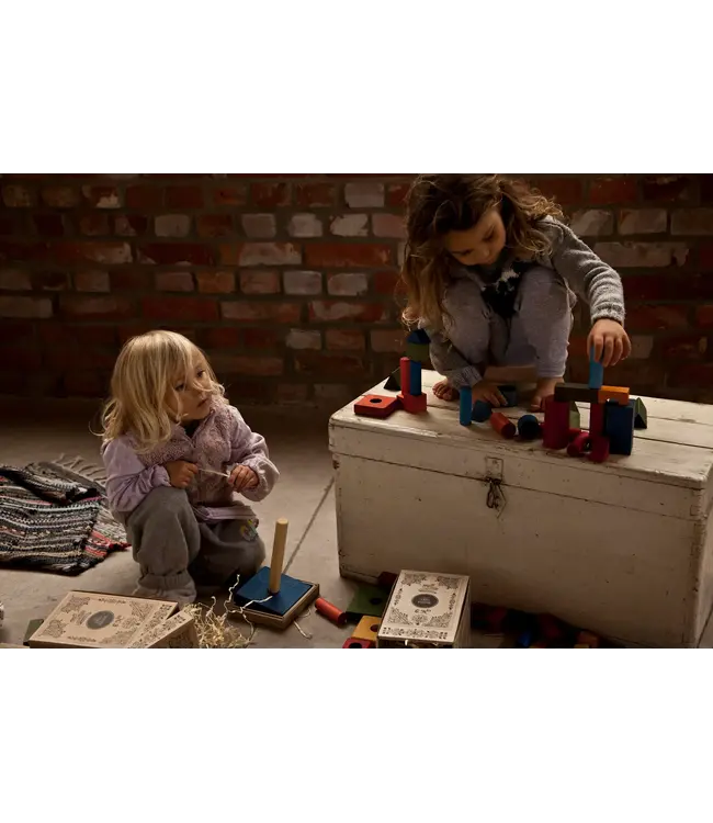 Wooden Story | Gekleurde Houten Blokken | in houten tray | 63 stuks | 1+