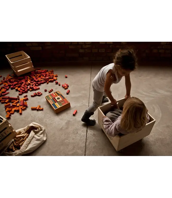 Wooden Story | Gekleurde Houten Blokken | in houten tray | 30 stuks | 1+