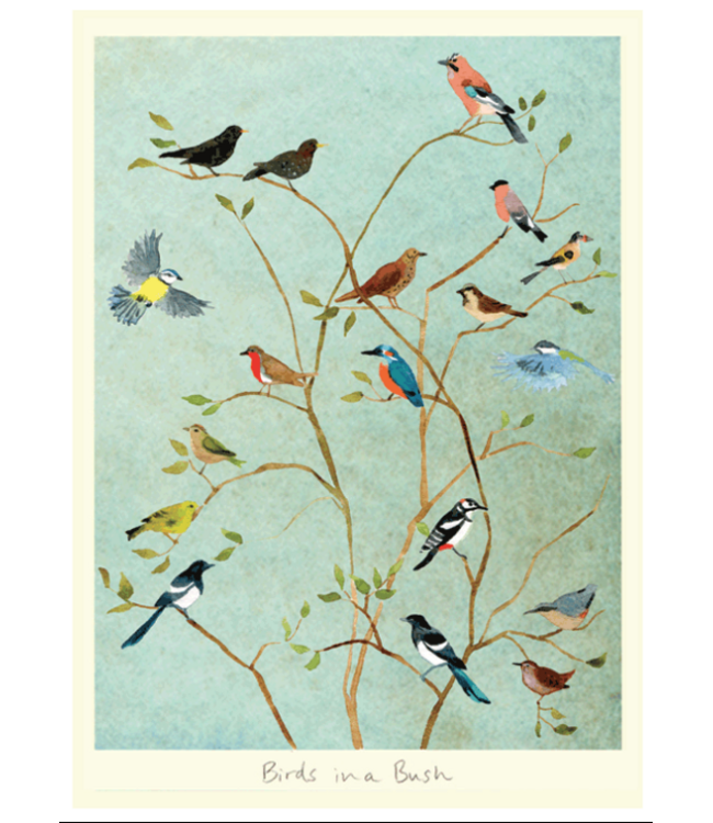 Two Bad Mice | Anna Shuttlewood  | Birds in a Bush