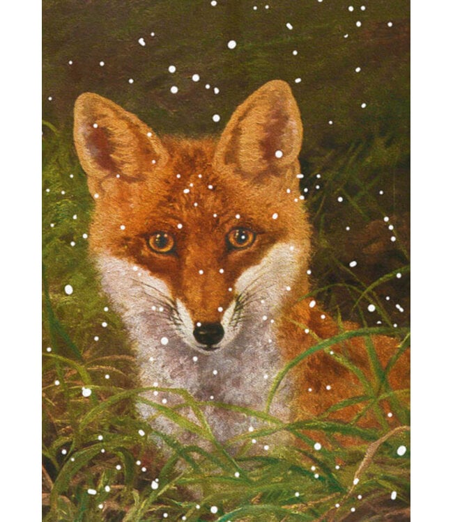 Madame Treacle | Foxy