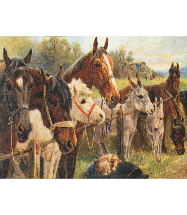 Madame Treacle | Mini Kaart | 9 x 12 cm | In the Field