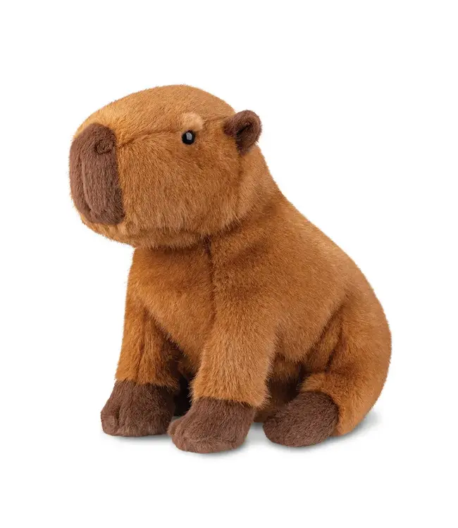 Aurora | Luxe Boutique | Borealis | Ralph Capybara | 28 cm | 0+