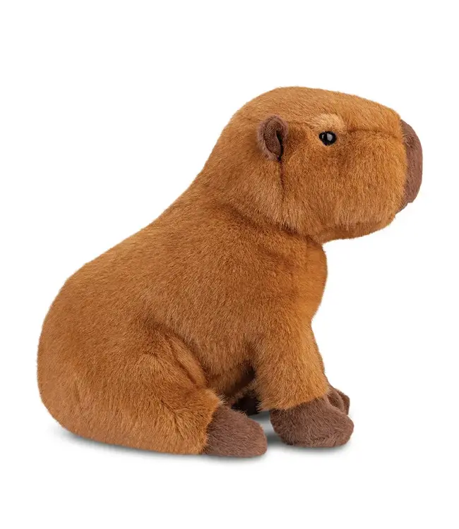 Aurora | Luxe Boutique | Borealis | Ralph Capybara | 28 cm | 0+