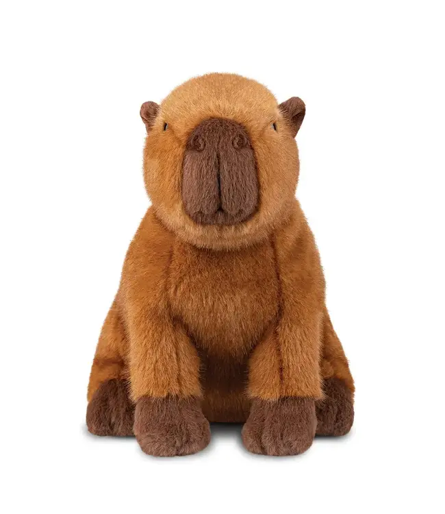 Aurora | Luxe Boutique | Borealis | Ralph Capybara | 28 cm | 0+