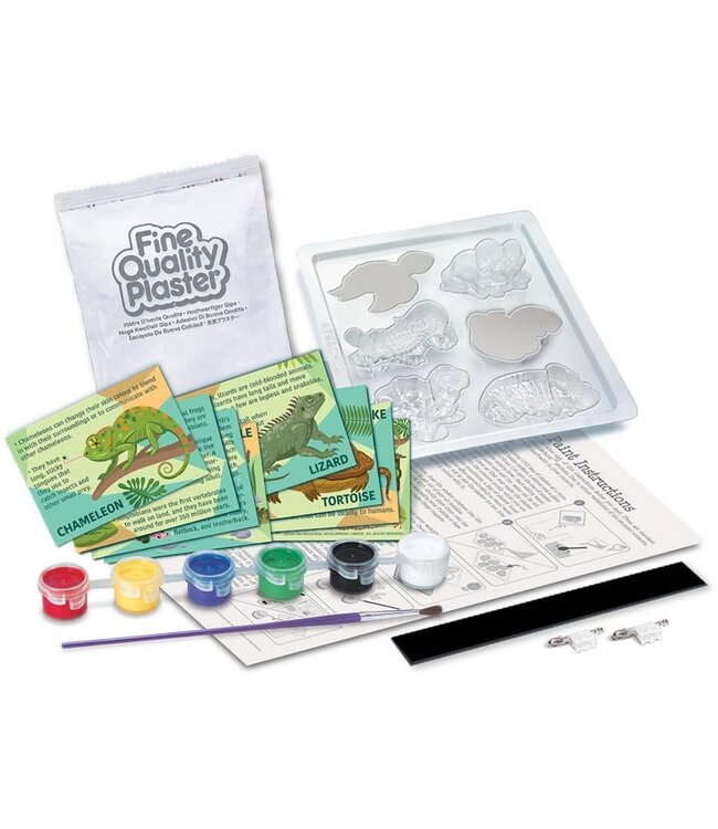 4M | Creatief | Gips Gieten en Verven | Reptielen en Amfibieën | 5+