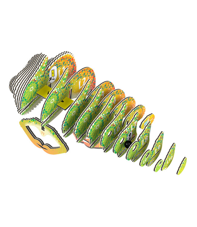 Eugy | 3D Cardboard Model Kit | Forest Life | Kameleon | 6+