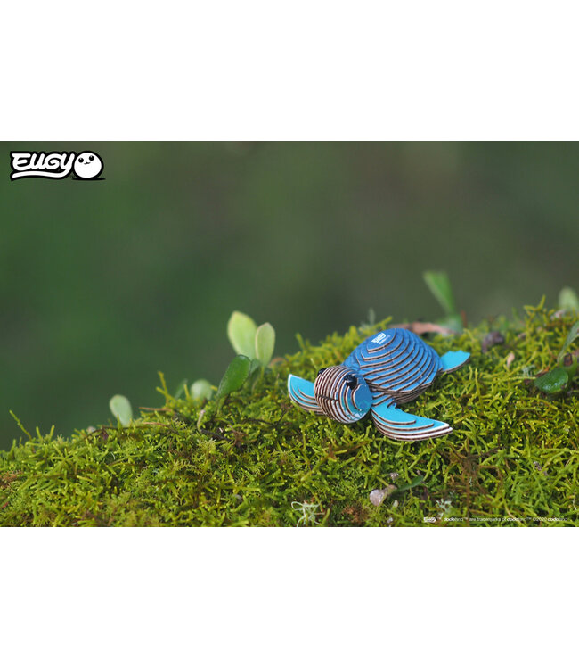 Eugy | 3D Cardboard Model Kit | Sea Life | Zeeschildpad | 6+