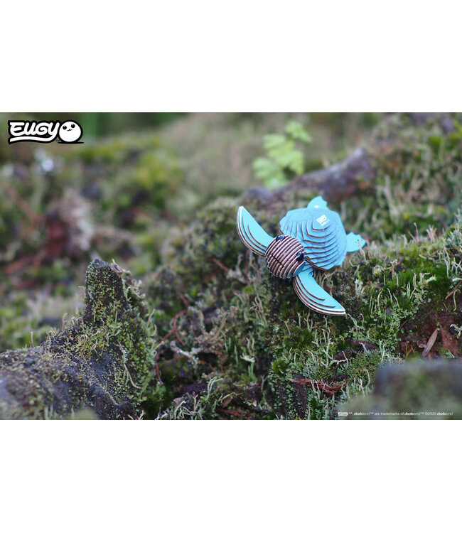 Eugy | 3D Cardboard Model Kit | Sea Life | Zeeschildpad | 6+